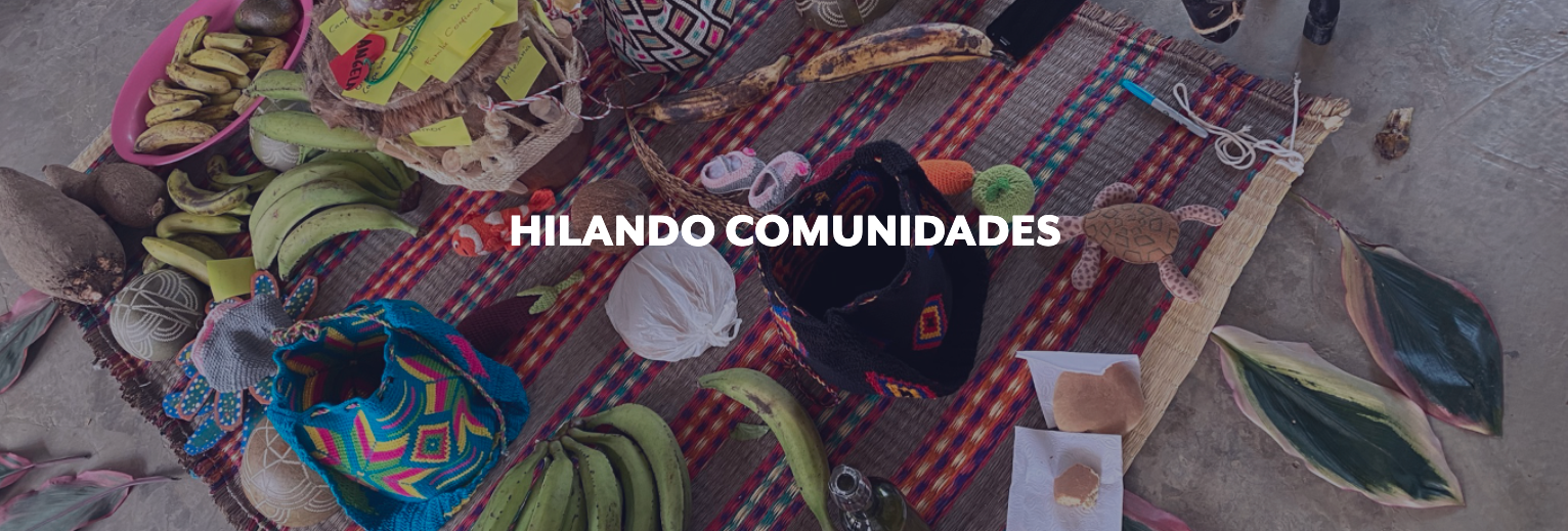 Alimentos, plantas y artesanias de comunidad sobre mantel a manera de ofrenda 